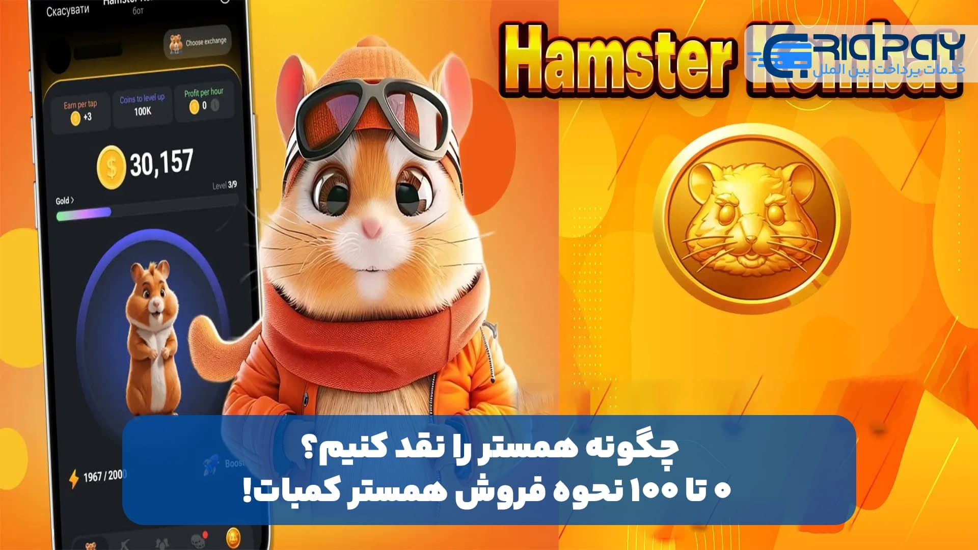 چگونه همستر را نقد کنیم؟ ۰ تا ۱۰۰ نحوه فروش همستر کمبات!