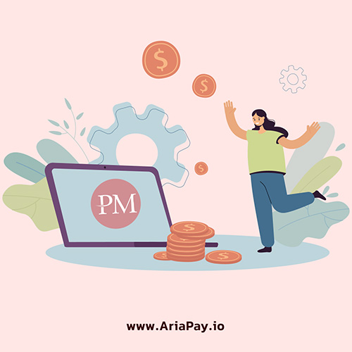 شرایط احراز هویت جهت استفاده از خدمات پرفکت مانی Perfect Money