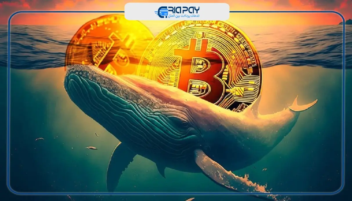 به چه کسانی نهنگ بیت کوین می‌گویند؟