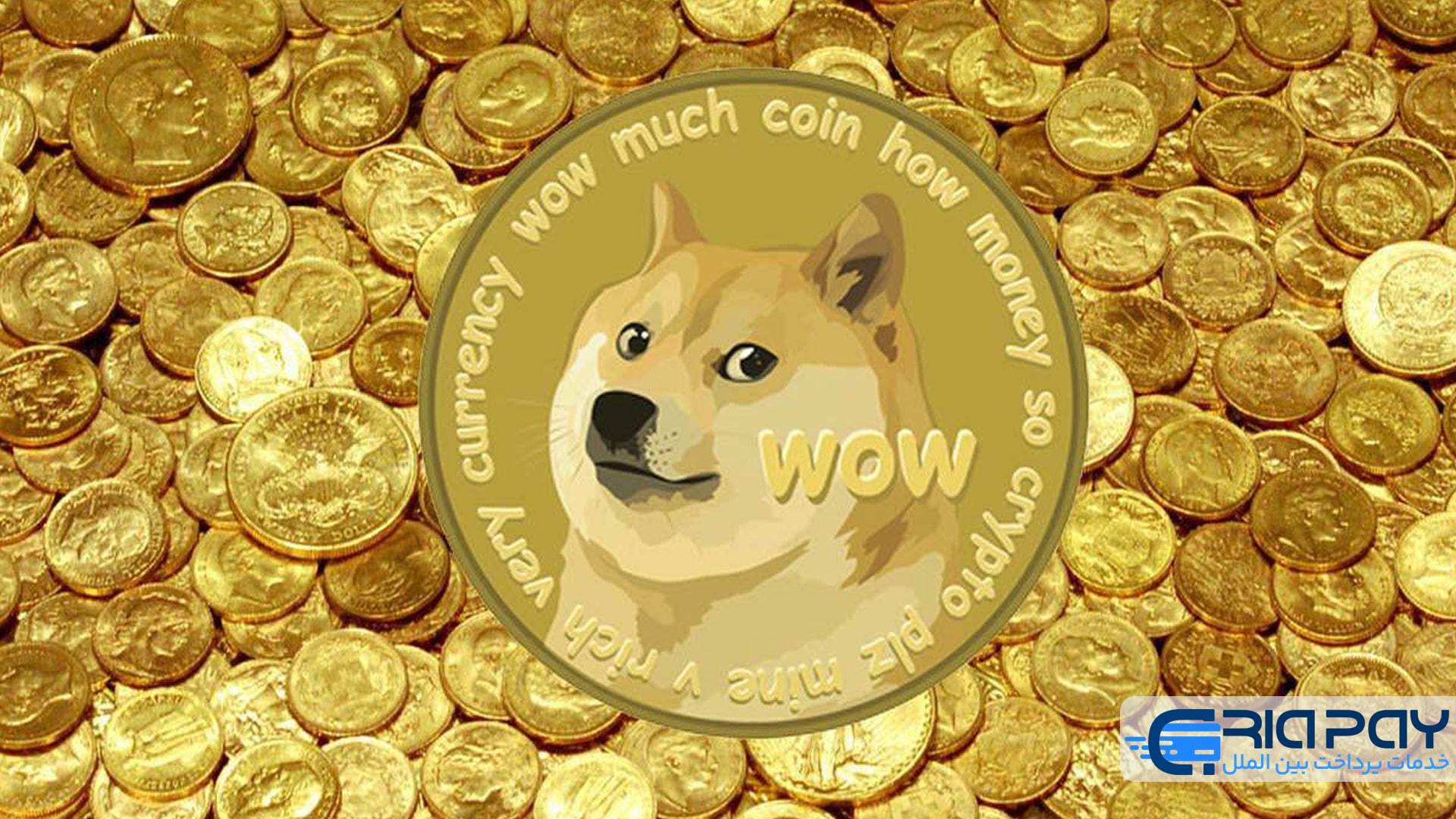 عوامل تأثیرگذار بر قیمت دوج کوین!